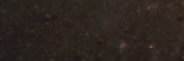 Profile cover